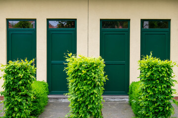 Four green front doors separated by hedges