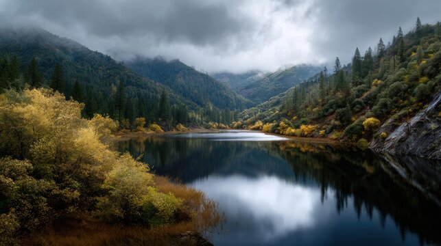 A tranquil lake nestled in the mountains, dense forests and misty clouds. The water reflects the surrounding foliage with stunning clarity, while golden autumn hues add color to the landscape. - Powered by Adobe