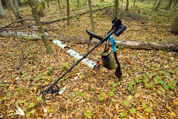 A metal detector is positioned on the ground in a forest, partially covered by colorful autumn leaves. Sunlight filters through the trees, creating a serene atmosphere
