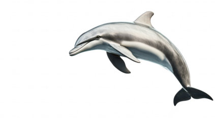 A graceful dolphin swimming effortlessly in the vast ocean. its sleek body against a serene. light-colored background. symbolizing freedom and marine beauty