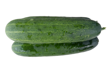 Fresh cucumber lies ready, sparkling with water, vibrant green symbol of healthy eating and simple culinary pleasure