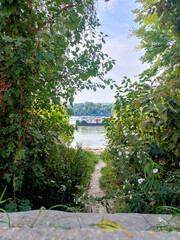 Green Pathway Leading to the Danube Riverside