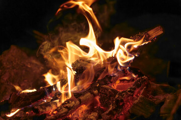 Close-up of campfire flames burning wood at night