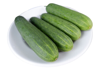 Fresh cucumbers are neatly arranged on pristine white plate, ready to be enjoyed for healthy and delightful meal