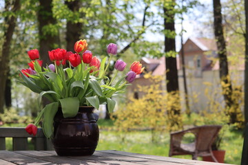 bouquet of tulips in a vase red tulips in a garden