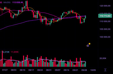 Close-up of a dark digital screen displaying a cryptocurrency or stock trading chart with red and green Japanese candlesticks, volume bars, and moving average indicators.

