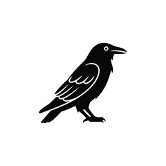 Stylized black crow silhouette on a white background
