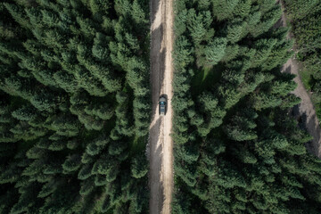 Scenic Road Winding Through Coniferous Forests of Tangbula Hundred-Mile Gallery, ​​Forest Road Car Journey Through Lush Coniferous Woodland,Ili, Xinjiang, China - Travel Adventure © Ukiyo