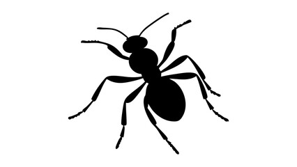 silhouette of a ant shape vector illustration