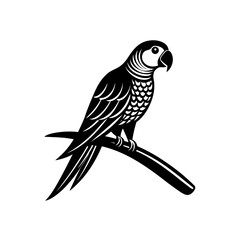 vector illustration of a bird