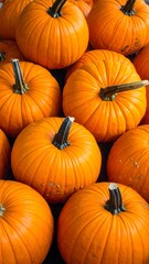 Close-up of many small pumpkins (1)