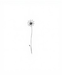 Elegant Single Flower Illustration on White Background