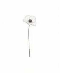 Delicate Hand-Drawn Flower Illustration on Minimalist Background