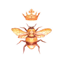 Golden watercolor illustration of a queen bee viewed from above with a crown, symbolizing royalty, nature, and luxury, perfect for branding, lifestyle, and decorative designs.