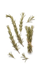 Fototapeta premium Dried Rosemary Sprigs on White Background.