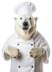 Obraz premium PNG Polar bear mammal animal chef.