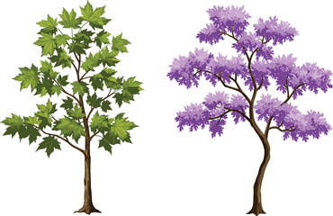 Obraz premium Green leafy tree and purple blossom tree illustration, seasonal foliage design, botanical nature drawing, decorative landscape artwork, colorful natural plant illustration