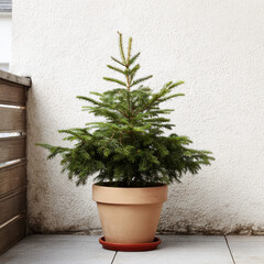 Christmas Tree Before Decoration – Minimalist Holiday Background with Copy Space