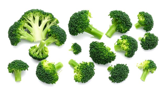 A collection of fresh broccoli florets and a halved head arranged on a white background, showcasing green, healthy vegetables