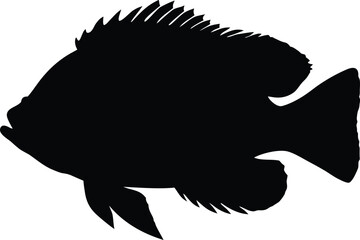 Hogfish Silhouette Vector - Tropical Marine Life Icon, Hogfish Vector Silhouette, Hogfish Icon - Minimalist Vector Silhouette for Fishing or Marine Design.