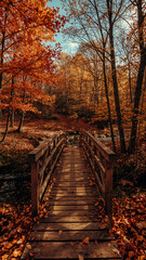 Colorful autumn scenery featuring a wooden bridge surrounded by vibrant orange and yellow foliage in a serene forest setting