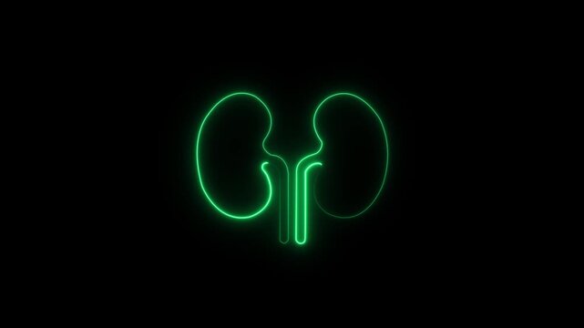 Neon kidney icon glowing medical animation design
Abstract organ health care symbol on black background