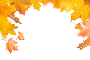 Autumn maple leaves frame on transparent background. Colorful fall foliage with orange, yellow, and red tones. Seasonal border design for greeting cards, banners, or invitations. PNG file.