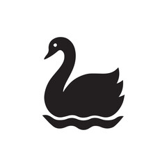 black swan vector illustration