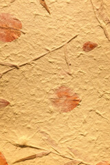 Vintage brown natural mulberry paper with visible grass and leaves