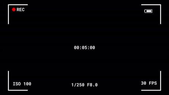 Digital camera interface overlay showing REC icon, ISO 100, shutter speed 1/250, aperture F8.0, 30 FPS, battery icon, and timecode on a black background.