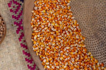 Native Corn from Oaxaca