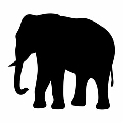 Fototapeta premium Black silhouette of an African elephant, side view with white background