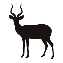 Fototapeta premium Silhouette of a magnificent impala antelope with elegant horns standing gracefully