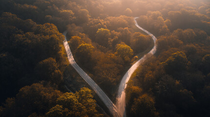 direction. Forked country road through autumn forest during golden hour, symbolizing choices and journeys. representing seasonal cycles and harvest abundance.