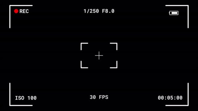 Camera Recording Interface with Crosshair and Recording Data. Digital camera HUD showing a red REC dot, shutter speed 1/250, aperture F8.0, ISO 100, 30 FPS, battery status,