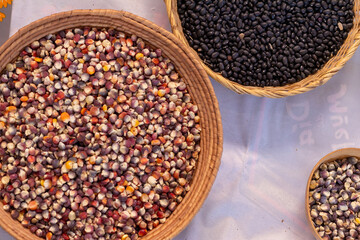 Native Corn from Oaxaca