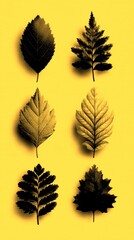 Collection of autumn leaves showcasing and diverse shapes arranged on a background