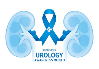 Blue ribbon for urology awareness month with kidneys isolated on transparent background