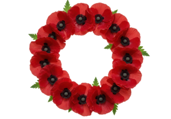 Isolated circle wreath of red poppy flowers with raindrops, remembrance day decoration