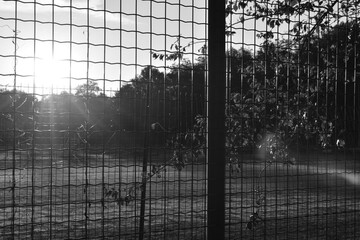 Campo sportivo