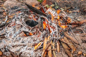 Intense flames engulf dry branches and firewood in a close-up of a campfire, glowing coals, ash and...