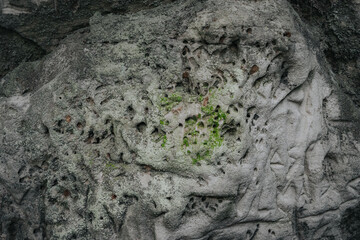 A detailed view of a rough sandstone surface with small erosion holes and patches of green moss growing in cracks, showcasing natural textures.
