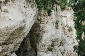 A sandstone cliff wall has grown under the influence of weathering, with visible layers, patches of moss, and exposed tree roots above it, framed by forest foliage.