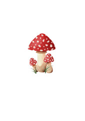 mushroom, nature, watercolor, fly agaric