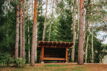 Small wooden shelter with a slanted roof situated among tall pine and birch trees in a peaceful...