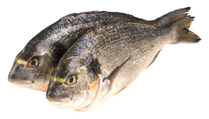 Fischarten