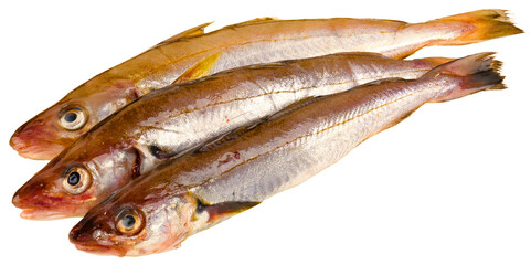 Fischarten
