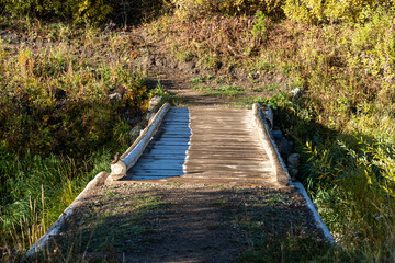 Fototapeta premium A small wooden footbridge with frost. A chipmunk sits atop the left side