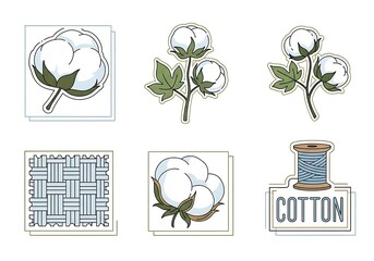 Cotton Plant and Fabric Production.