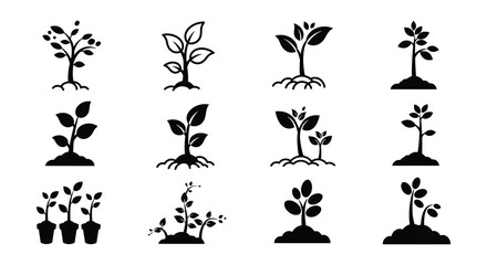 Collection of Black Plant Seedling Icons Representing Growth Nature and New Beginnings